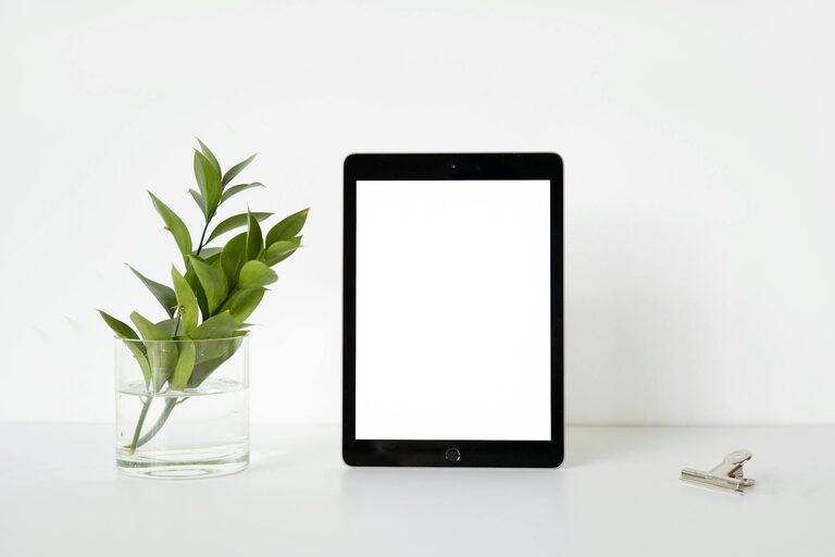 Easy Ways to Add Nature to Your Workspace for a Calmer Day